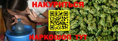 крисы Краснодар