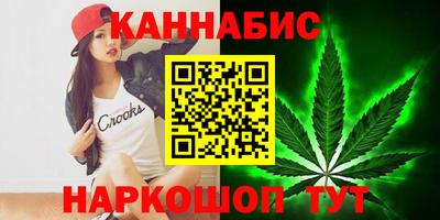 крисы Краснодар