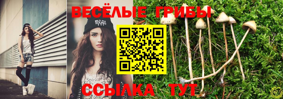 Галлюциногенные грибы Magic Shrooms  Псилоцибиновые грибы Psilocybe  Вход с VPN  купить наркотики цена  Дубна 